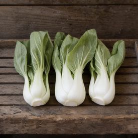 White Stem, Pak Choi Cabbage